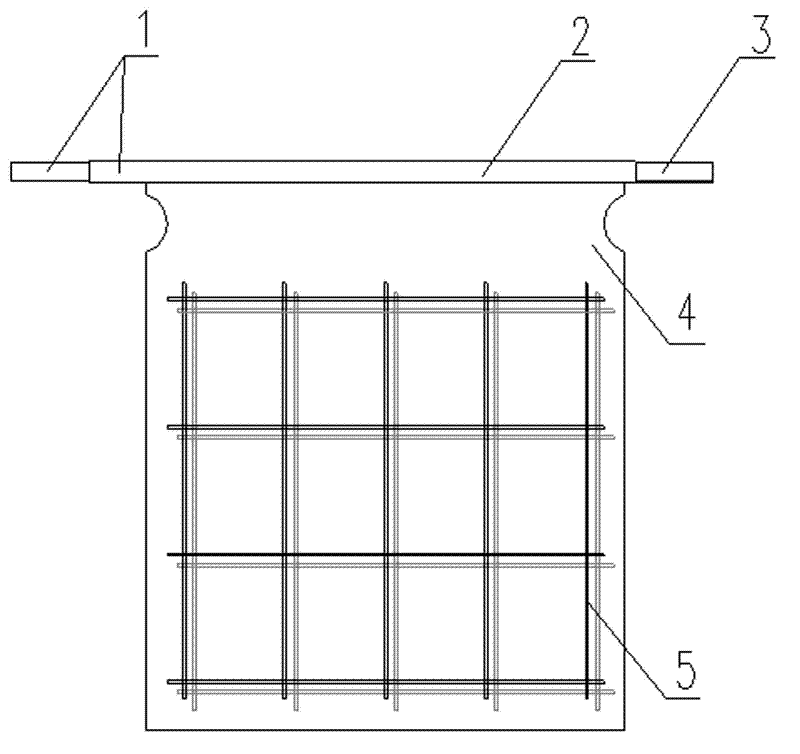 Electrodeposition electrolytic nickel negative plate