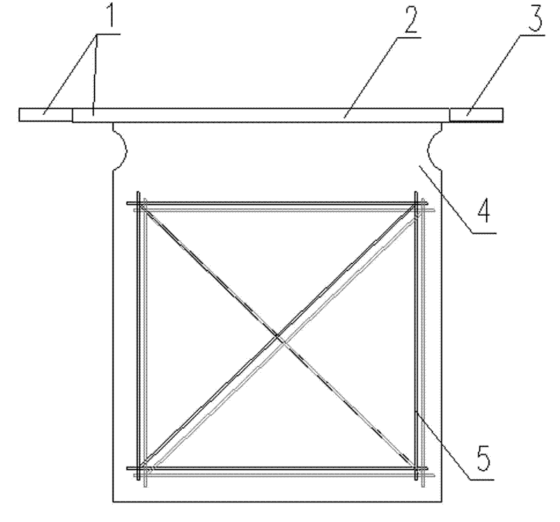 Electrodeposition electrolytic nickel negative plate