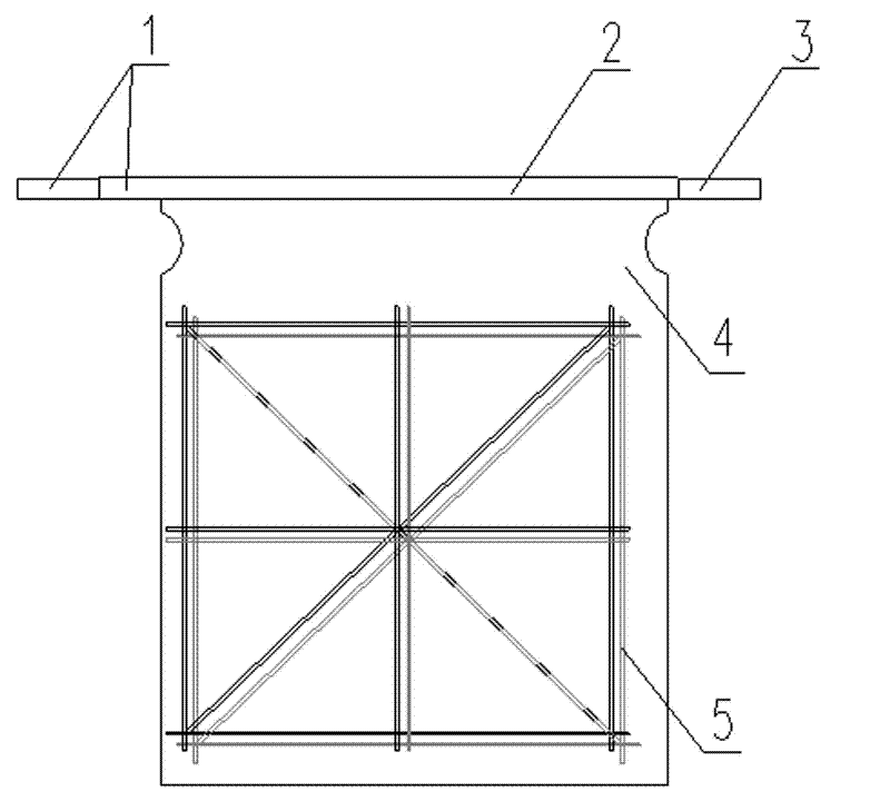 Electrodeposition electrolytic nickel negative plate