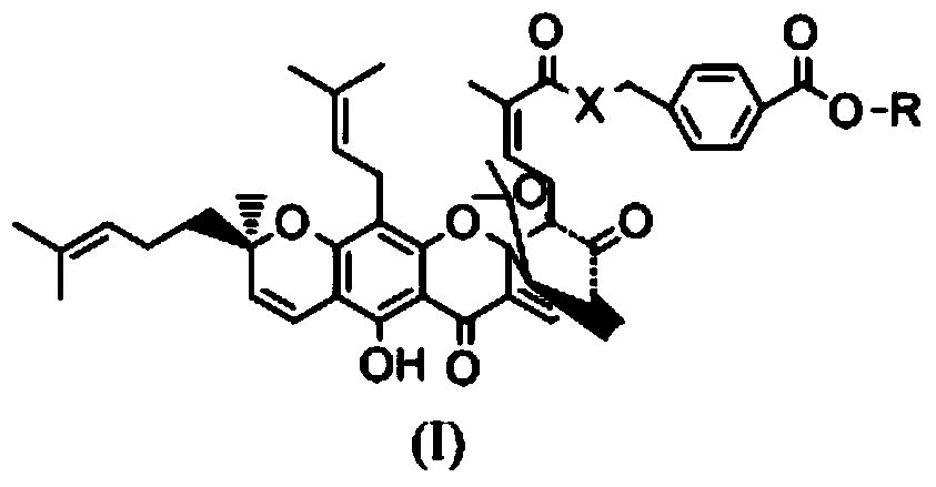 Gambogic acid derivative, preparation method and uses thereof