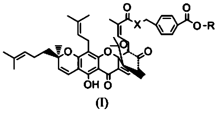 Gambogic acid derivative, preparation method and uses thereof