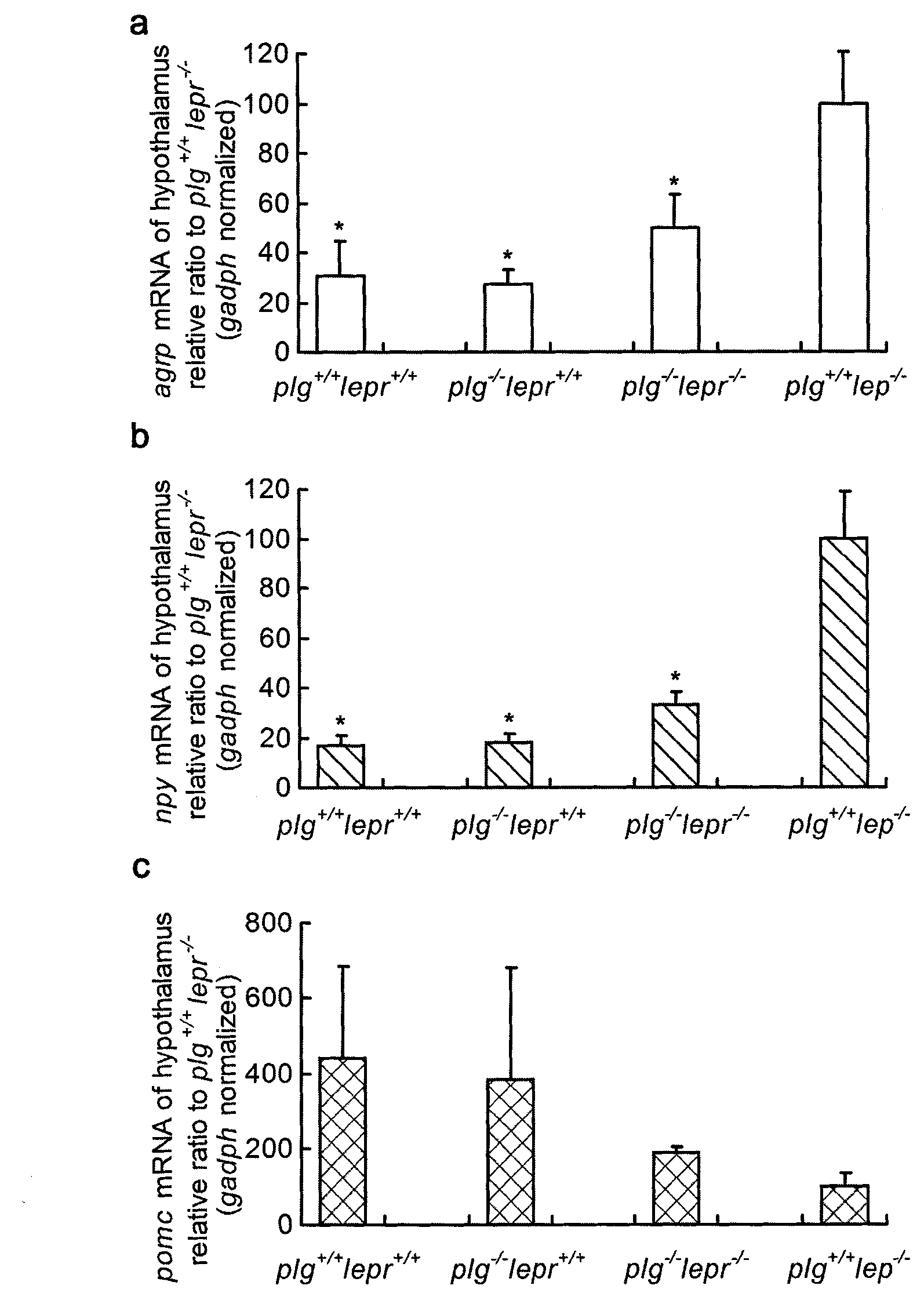 Polypeptide and use thereof in medicament preparation