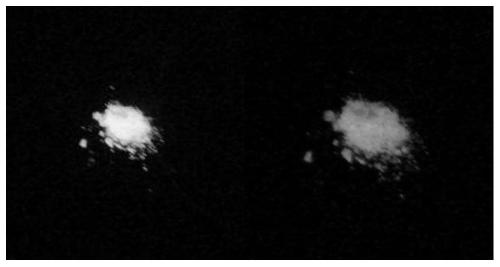 An organic small molecule high-efficiency room temperature phosphorescent material based on aroimide and its preparation and application