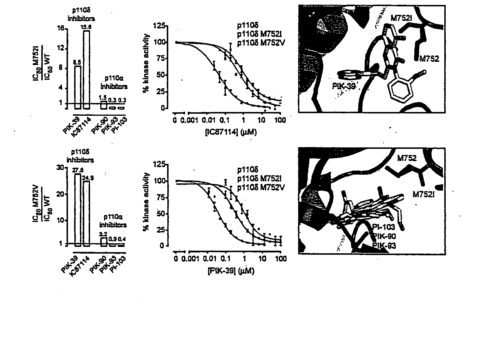 Kinase antagonists