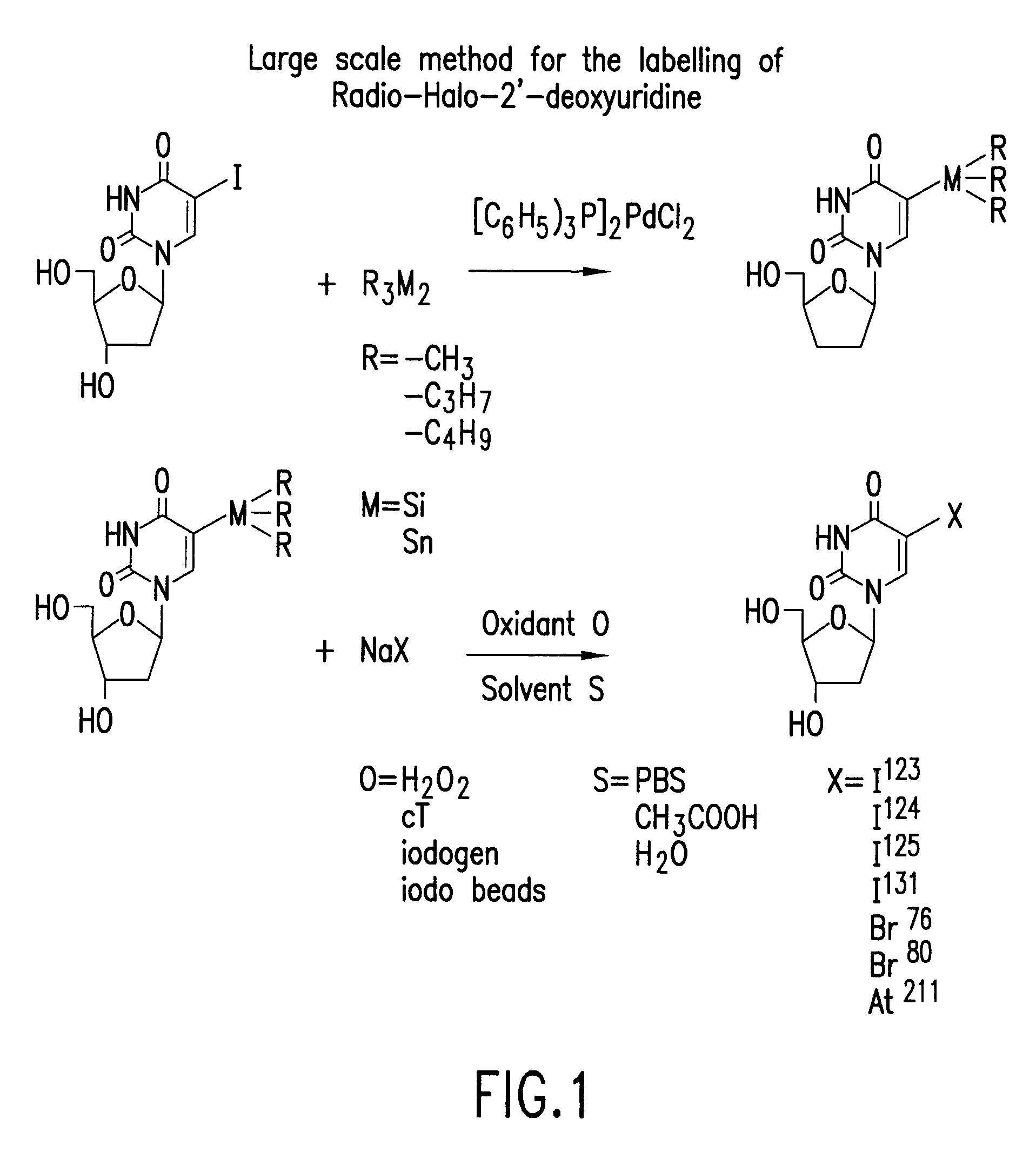 System and method for the large scale labeling of compounds with radiohalogens