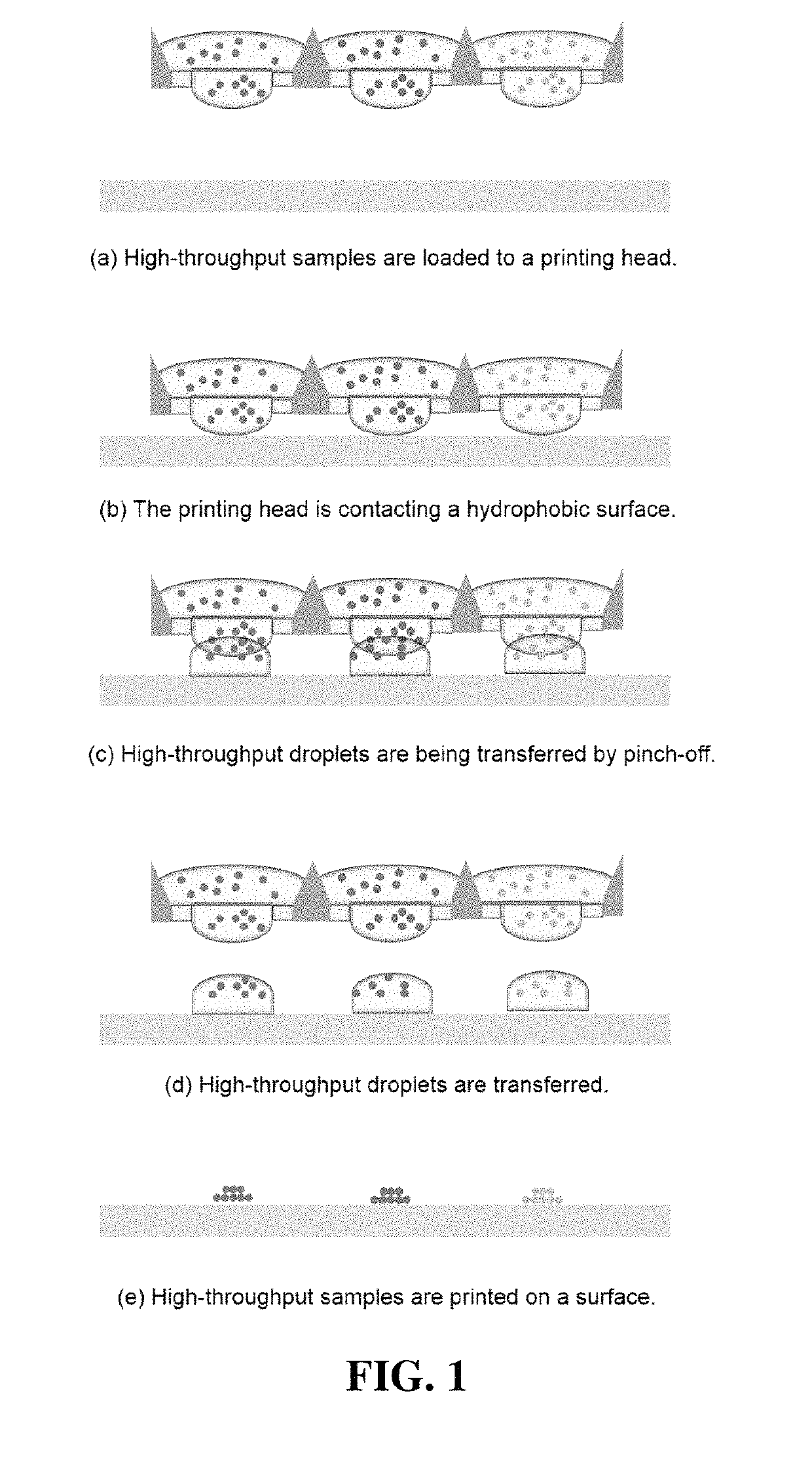 Fabrication method of print head for multiplex chemotyping microarray