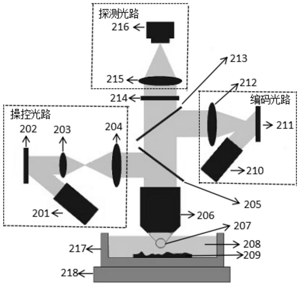 A super-resolution three-dimensional shape measurement method based on optical tweezers dielectric microspheres