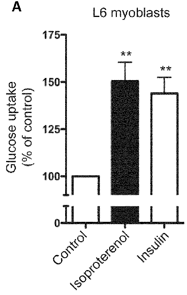 Screening Method, a Kit, A method of Treatment and a Compound for Use in a Method of Treatement