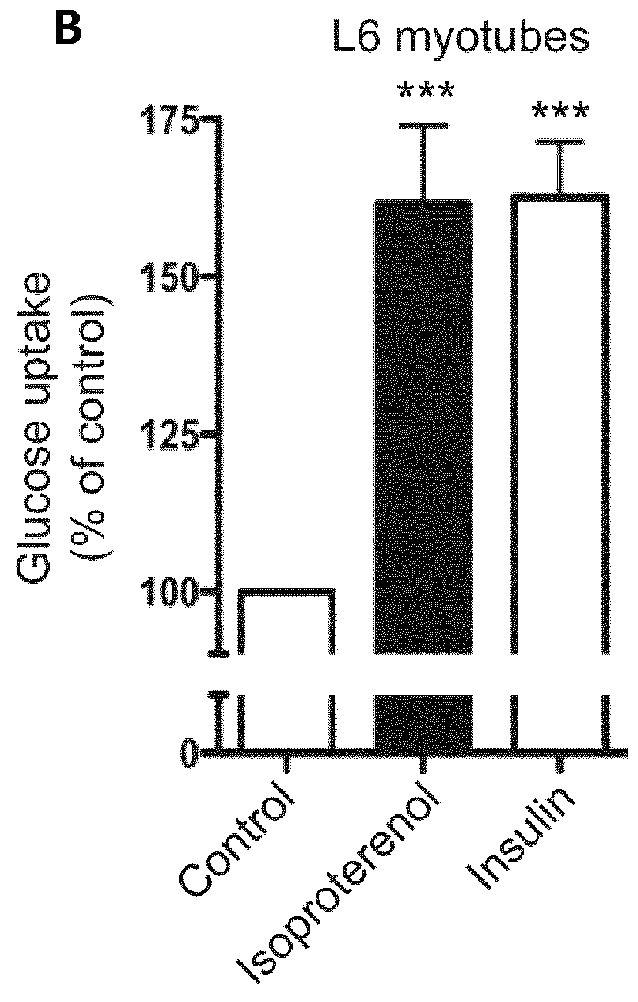 Screening Method, a Kit, A method of Treatment and a Compound for Use in a Method of Treatement