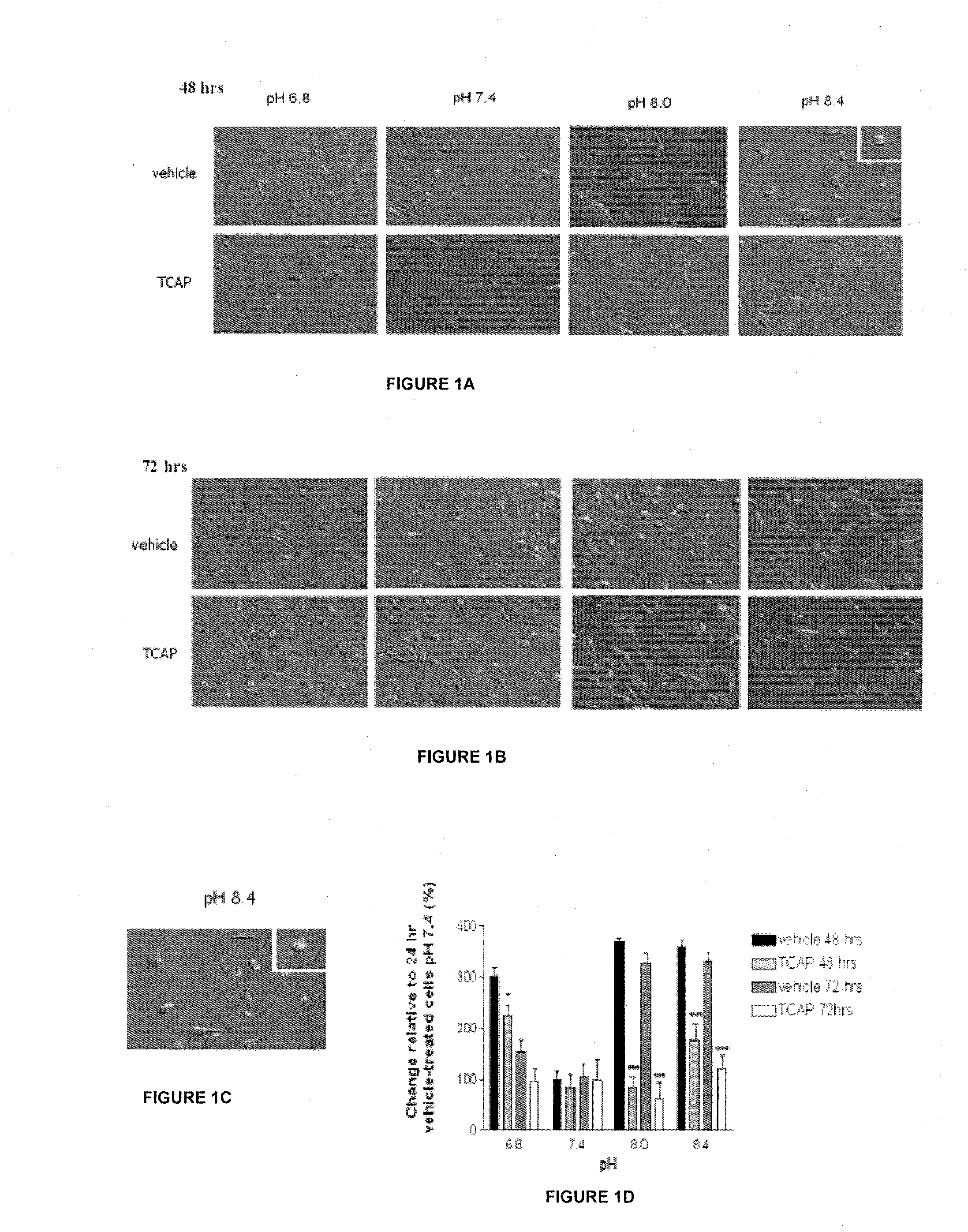 Method for inhibiting neuronal cell death