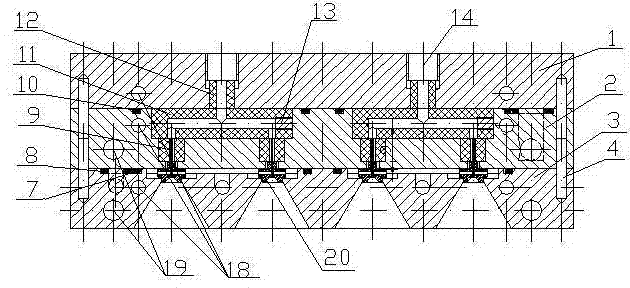 Assembled type spinneret plate with a plurality of spinning nozzles