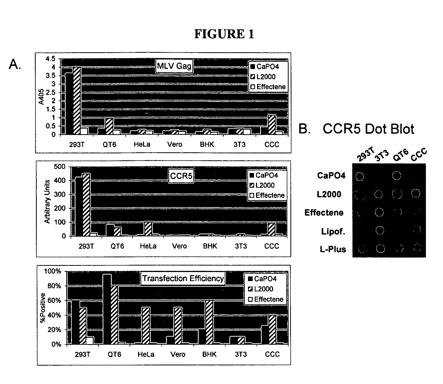 Lipoparticles comprising proteins, methods of making, and using the same