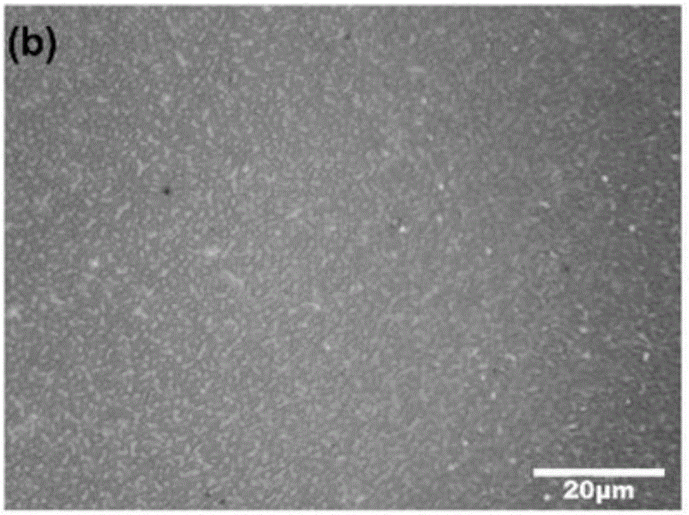 Method for in-situ growth of graphene on insulating substrate by double flame method in atmospheric environment