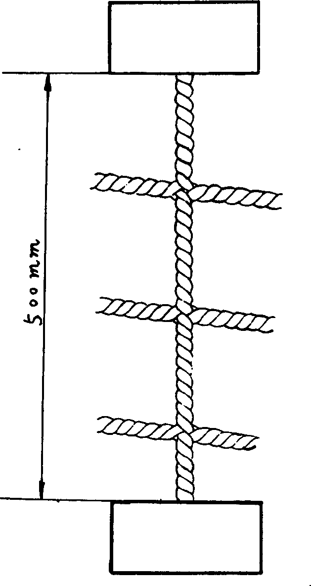 Twisted netted piece single-wire strong testing method