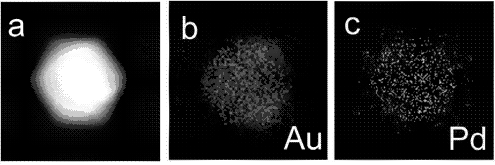 Au75Pd25 icosahedron nanocrystal with twin boundaries as well as preparation method and application of Au75Pd25 icosahedron nanocrystal