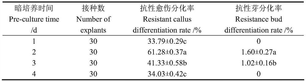 Agrobacterium tumefaciens-mediated petunia hybrida 'Mellin' efficient genetic transformation system