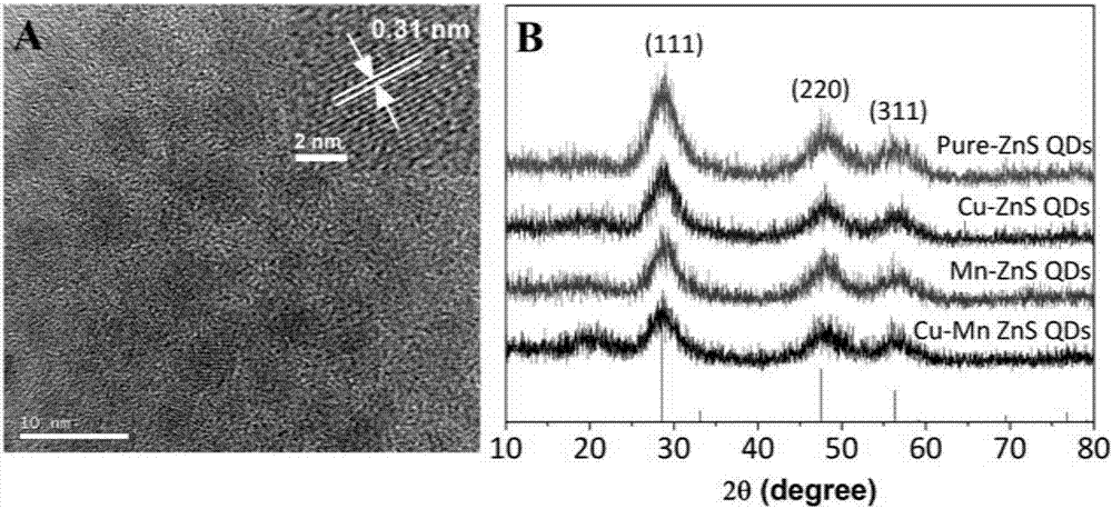 Preparation method of Cu-Mn double-doping ZnS quantum dot solution and application