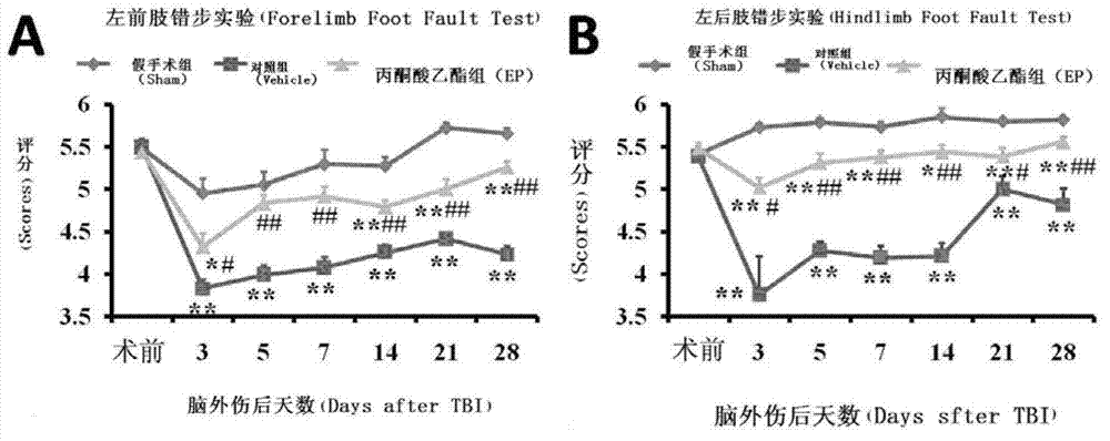 Use of ethyl pyruvate in drug preparation