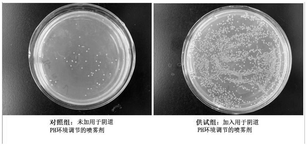 A spray for vaginal pH environment adjustment and preparation method thereof