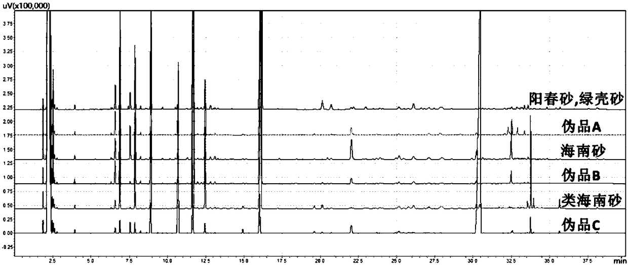 Fructus amomi identification method and application and system thereof