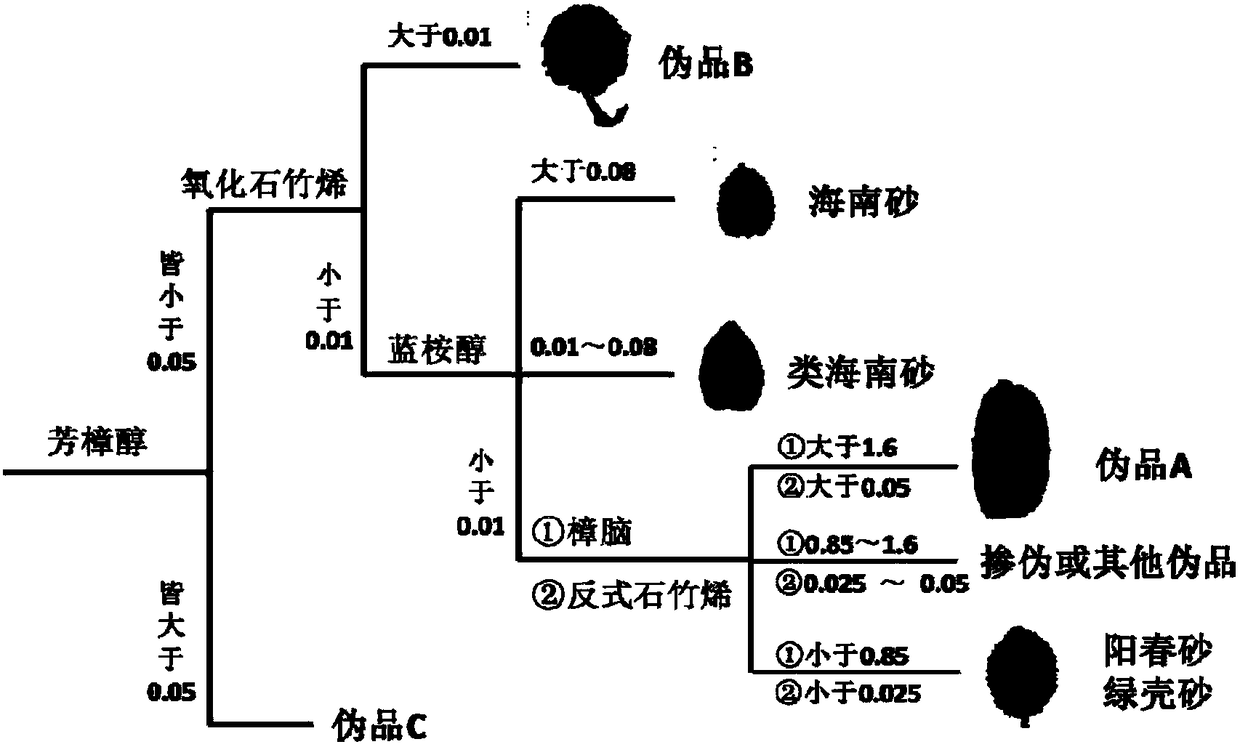 Fructus amomi identification method and application and system thereof