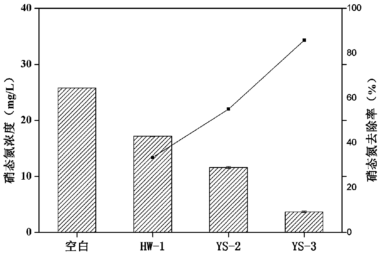 Preparation, application method and screening method of Pseudomonas Monterey YS-3