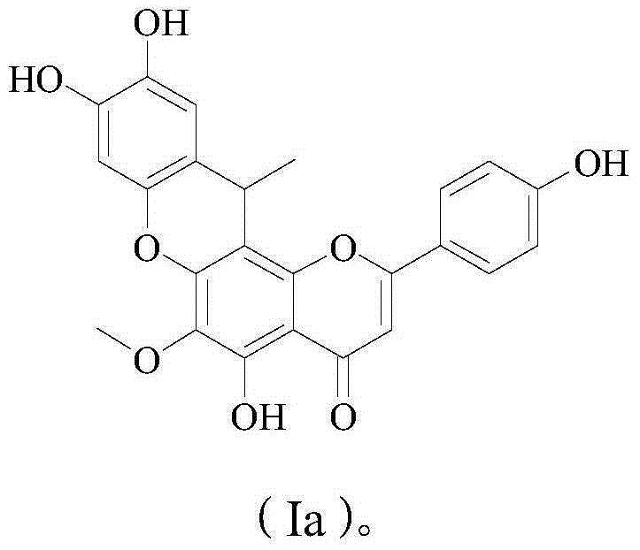 New flavone compound as well as preparation method and application thereof