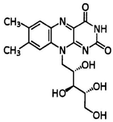 Riboflavin-producing bacillus subtilis and construction method and application thereof