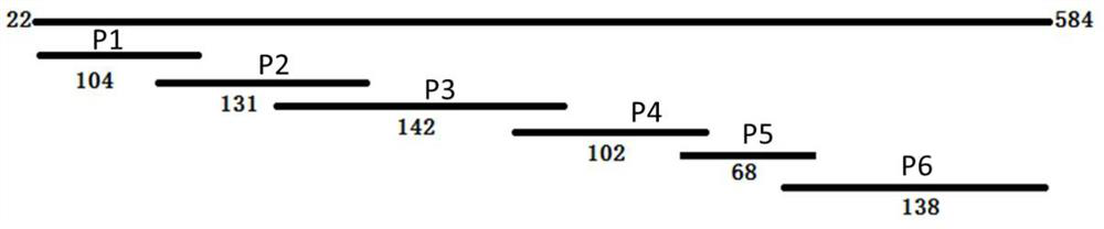 Immunochromatographic test strip for detecting feline panleukopenia syndrome virus antibody, preparation method and application thereof