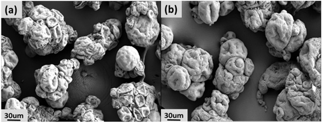 A kind of high oil absorption rate polyvinyl chloride resin and preparation method thereof