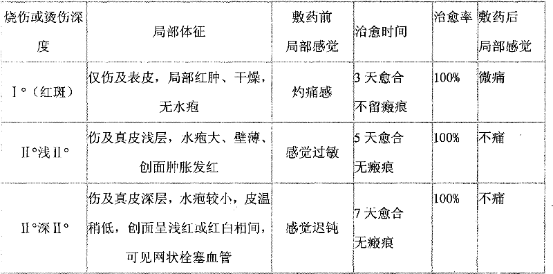 Traditional Chinese medicinal composition for treating burns and scalds and preparation method thereof