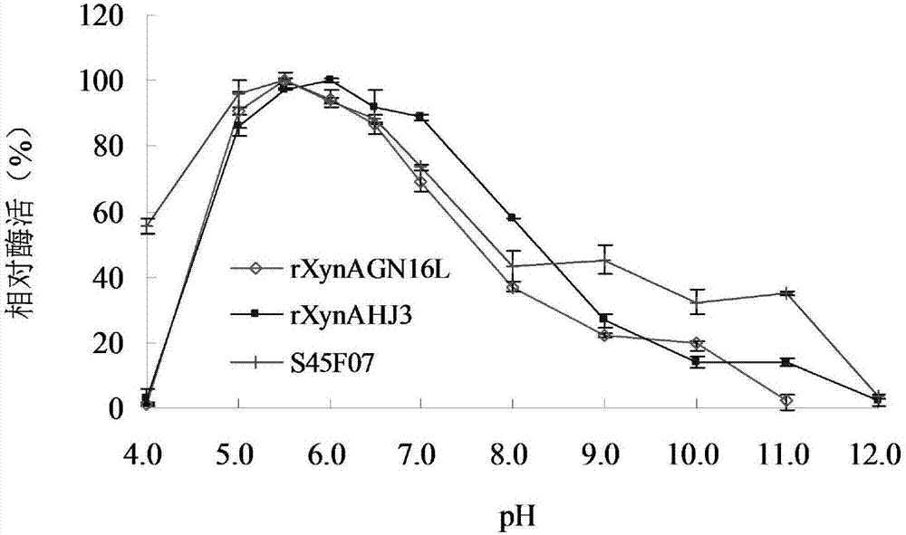 Endo-xylanase mutant with improved pH, temperature and salt adaptability and application of endo-xylanase mutant