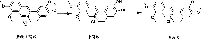 Preparation method of fibrauretine