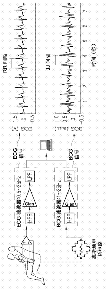 Ballistocardiogram analysis apparatus and method, and system for utilizing ballistocardiogram for vehicle using the same