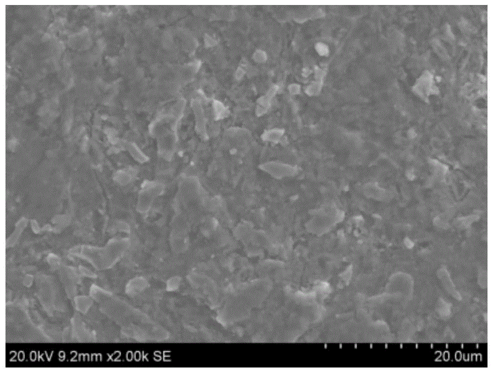 A kind of zirconium hydride surface protection method