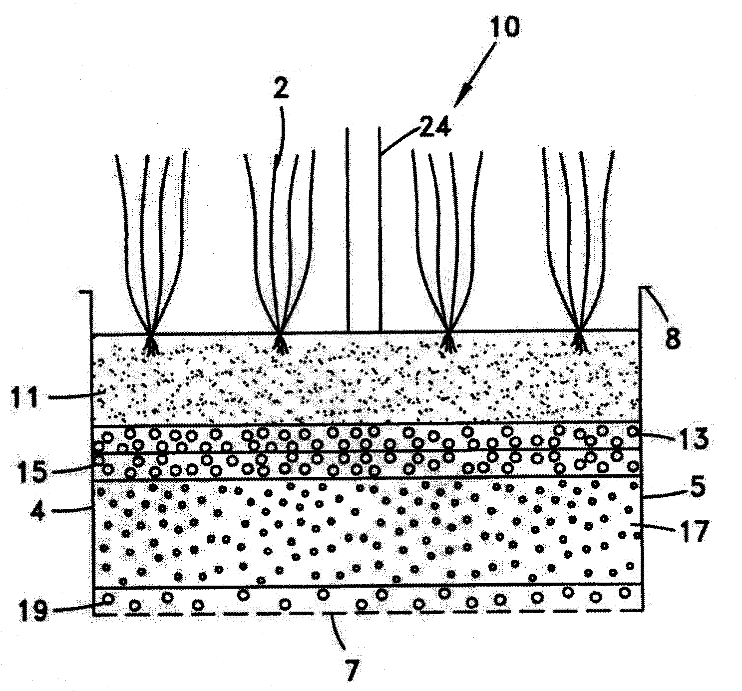 System and method for processing and reusing graywater including for use in home and garden