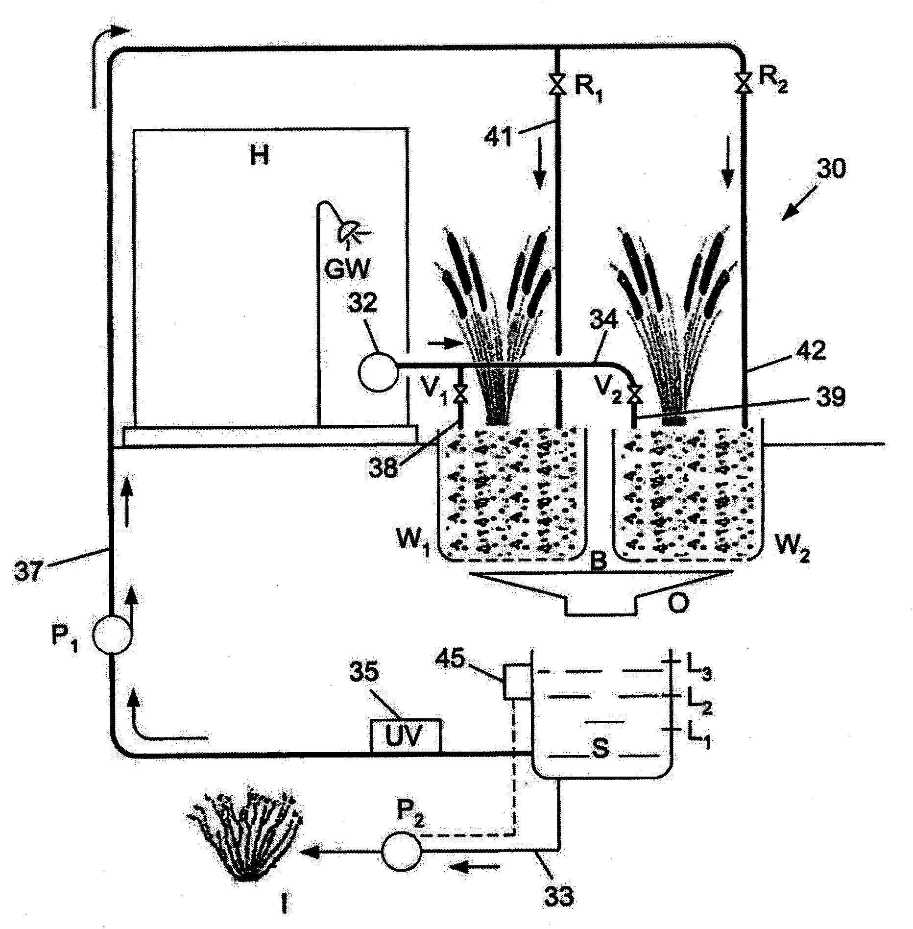System and method for processing and reusing graywater including for use in home and garden