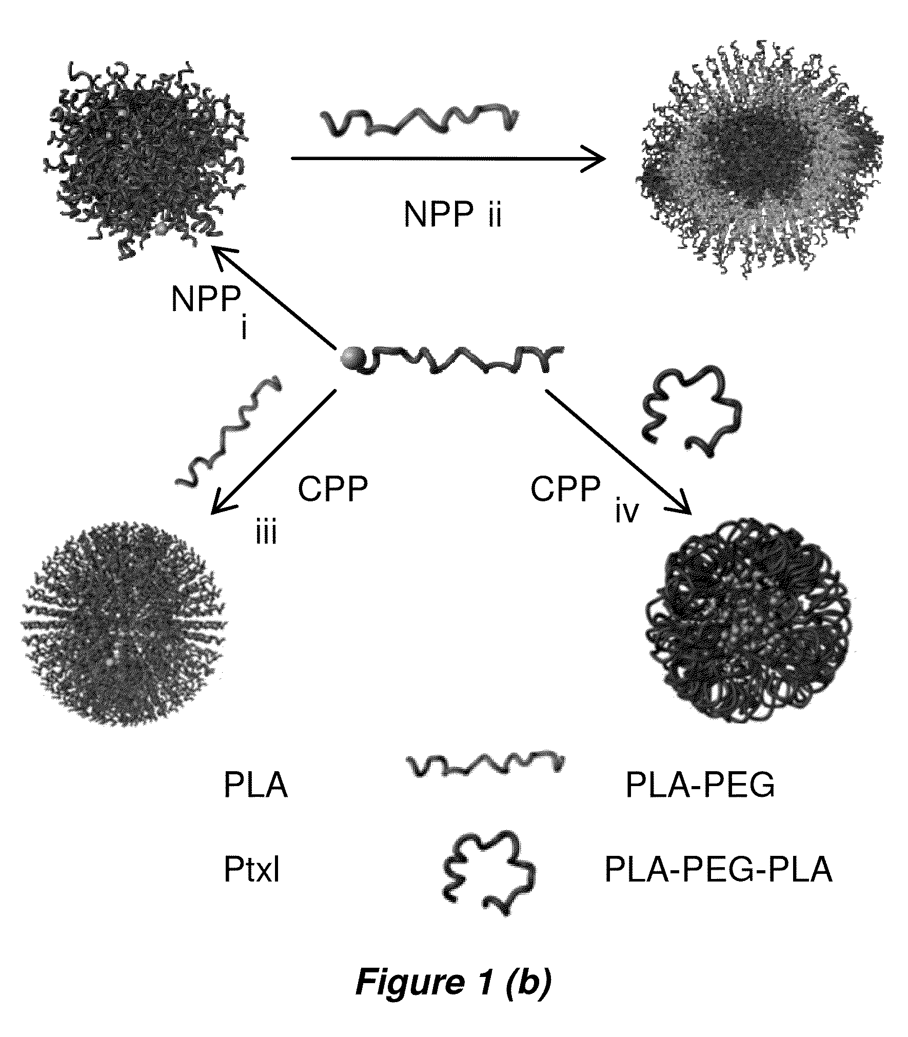 Nanoconjugates and nanoconjugate formulations