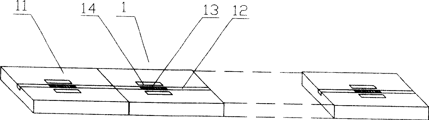 Optical coding/decoding device whose plane light-path is variable
