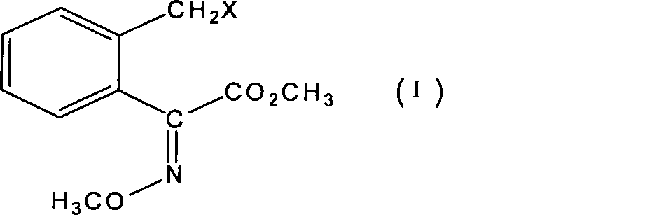 Method for preparing bactericidal agent intermediate (E)-2-(2'-chloromethyl)phenyl-2-methoxy imino methyl acetate