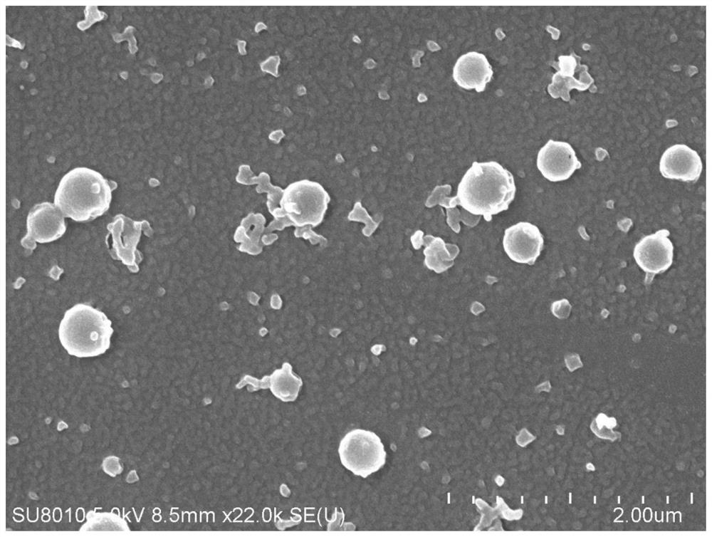 Monodisperse high-stability inorganic hydrated salt phase change nanocapsule as well as preparation method and application thereof