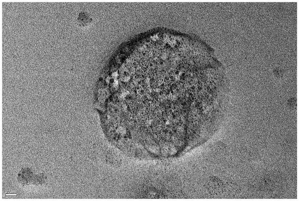 Monodisperse high-stability inorganic hydrated salt phase change nanocapsule as well as preparation method and application thereof