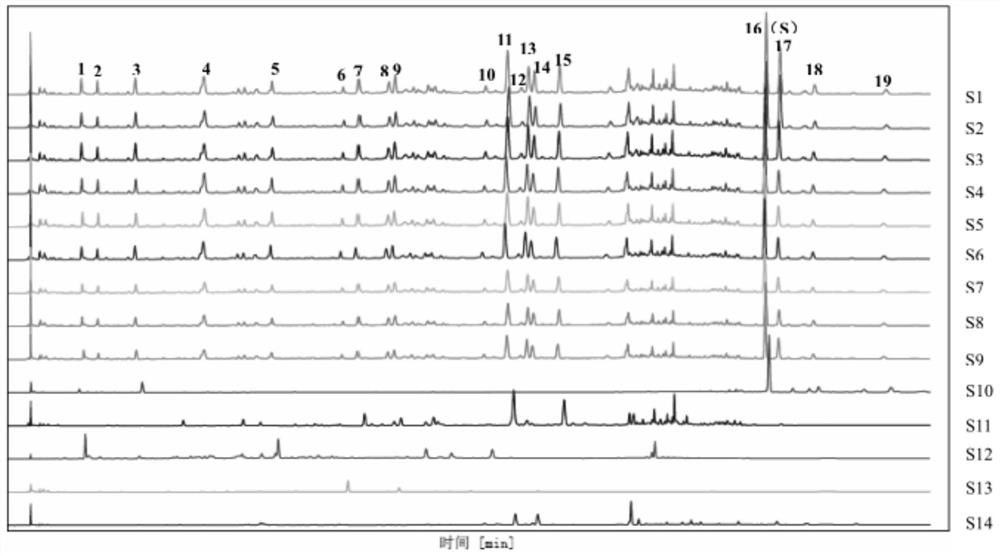 A kind of rehmannia yinzi pharmaceutical composition, preparation method and detection method