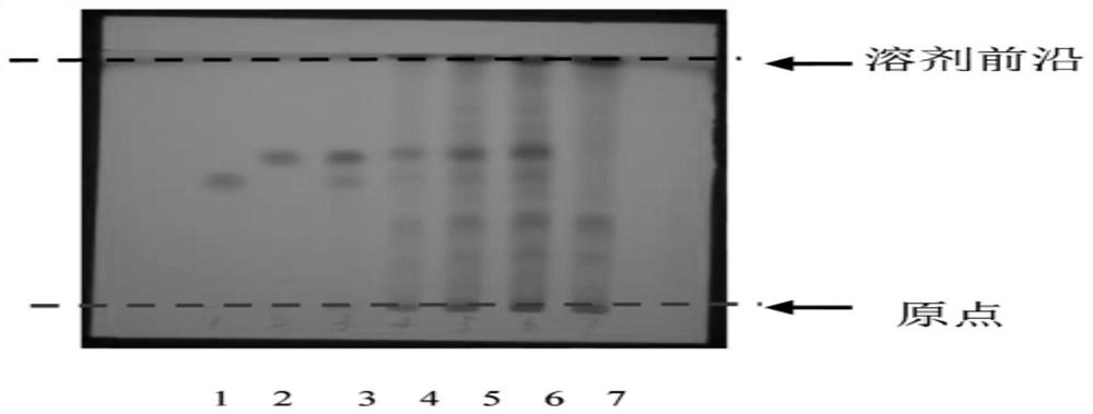 A kind of rehmannia yinzi pharmaceutical composition, preparation method and detection method