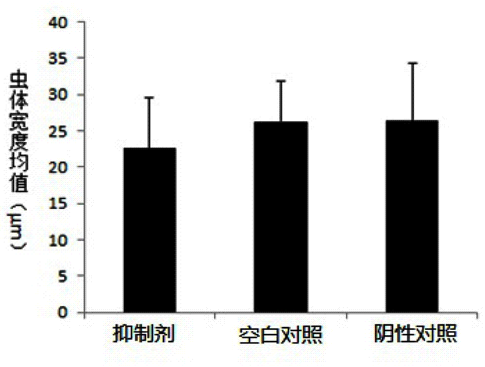 A kind of roundworm miRNA inhibitor and application thereof