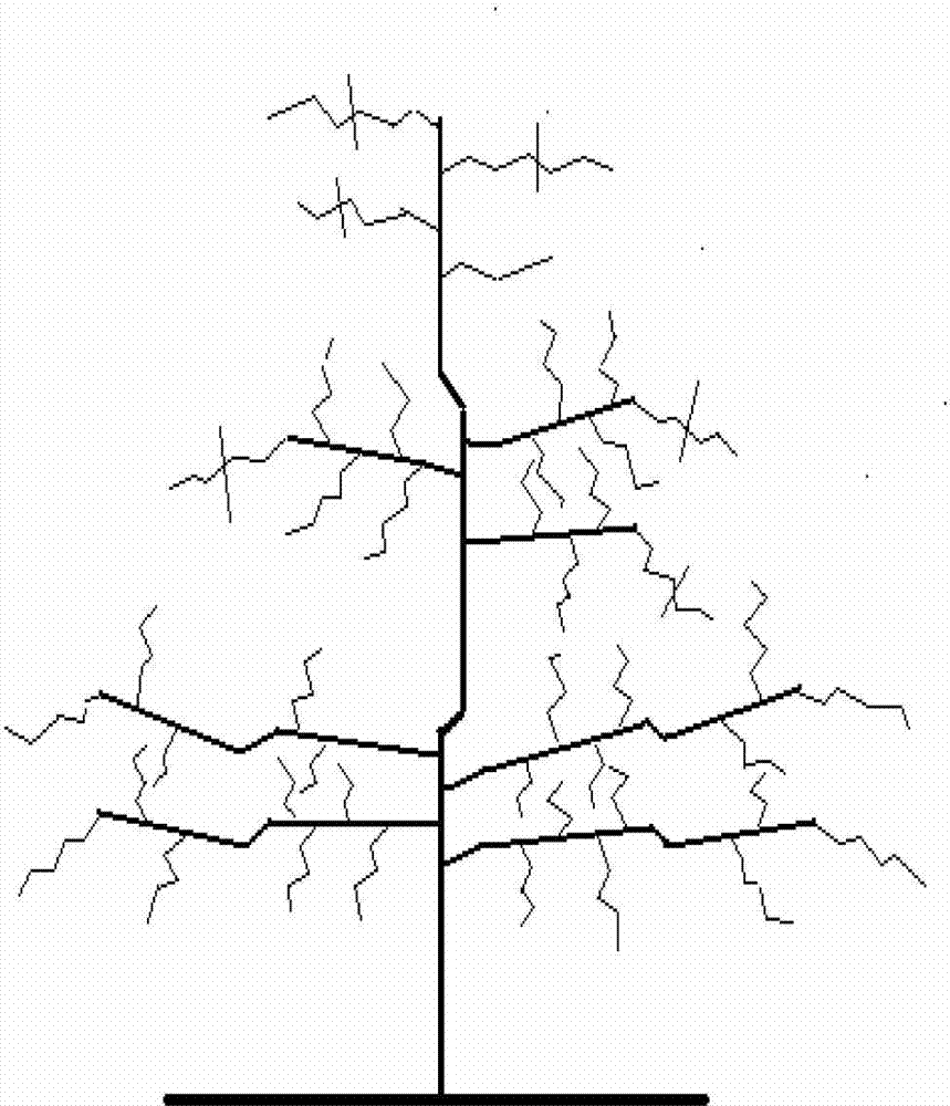 Simplified tree form reforming method suitable for high-density jujube orchard