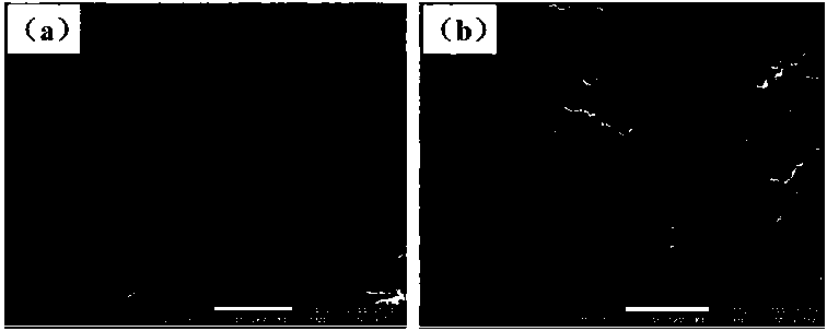 An Ag-Doped Cubic Phase Ca2Si Thermoelectric Material