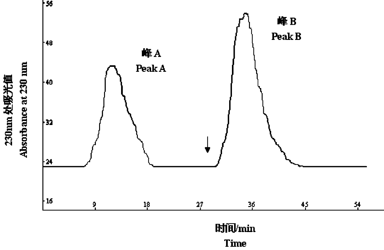 Antimicrobial peptide derived from Holstein dairy cow spleen and its preparation method and application