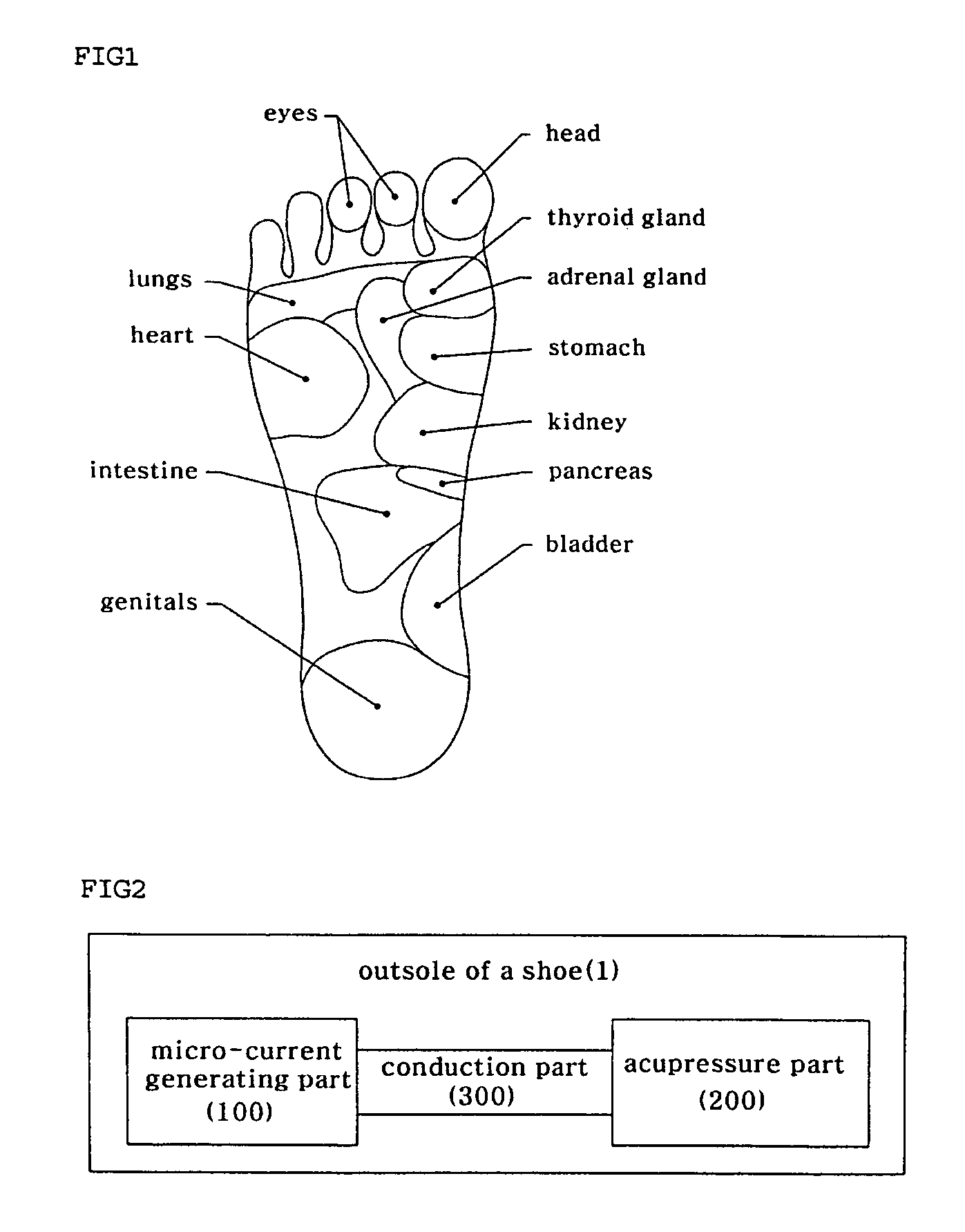 Functional shoe