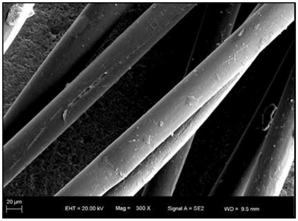 Preparation method of amorphous silicon dioxide ceramic coated polyester fiber oil absorption material